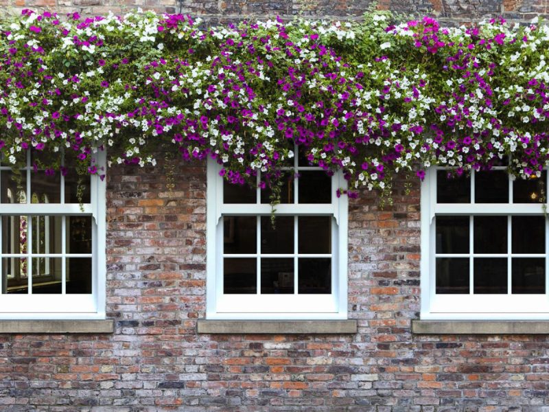 upvc windows